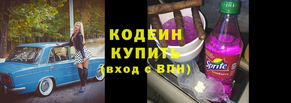шишки Елабуга