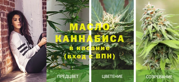 амф Ельня
