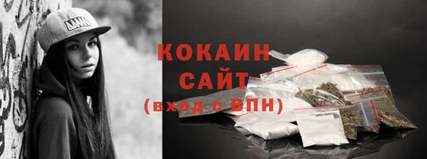 амф Ельня