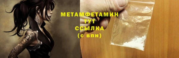 амф Ельня