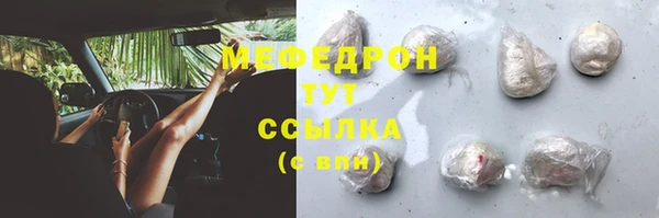 амф Ельня
