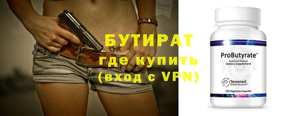 амф Ельня
