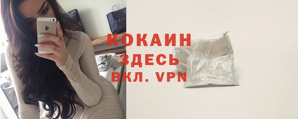амф Ельня