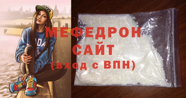 амф Ельня