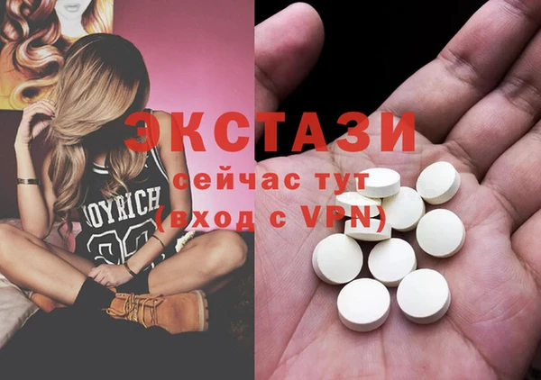 амф Ельня