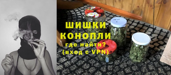 шишки Елабуга