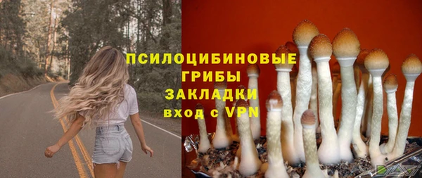 амф Ельня