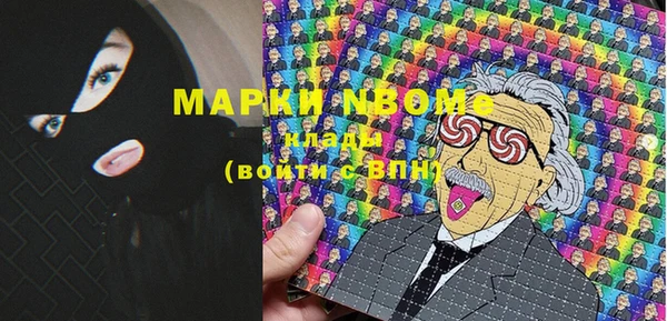шишки Елабуга
