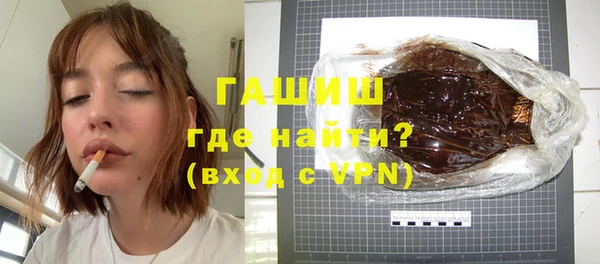 амф Ельня