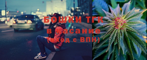 амф Ельня