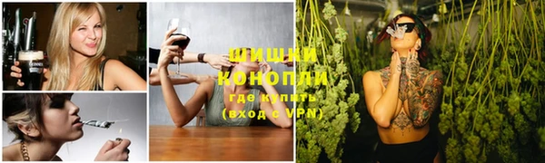 амф Ельня