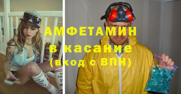 амф Ельня