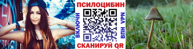 Галлюциногенные грибы Psilocybine cubensis  Заозёрный 